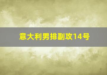 意大利男排副攻14号