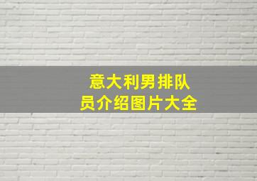 意大利男排队员介绍图片大全