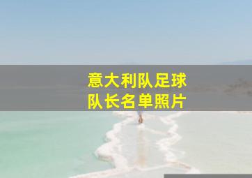 意大利队足球队长名单照片