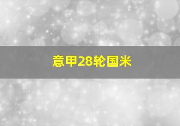 意甲28轮国米