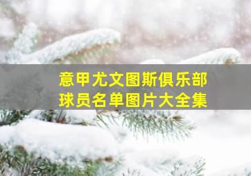 意甲尤文图斯俱乐部球员名单图片大全集