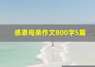 感恩母亲作文800字5篇