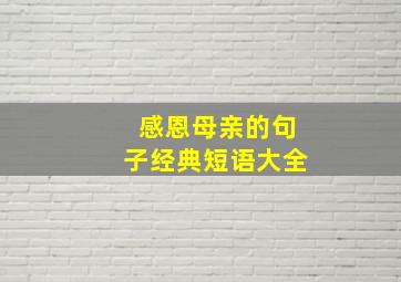 感恩母亲的句子经典短语大全