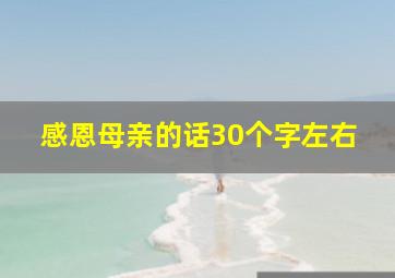 感恩母亲的话30个字左右