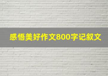 感悟美好作文800字记叙文