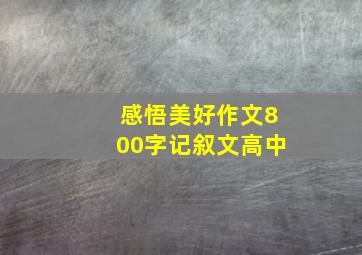 感悟美好作文800字记叙文高中