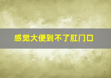 感觉大便到不了肛门口