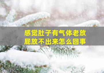 感觉肚子有气体老放屁放不出来怎么回事