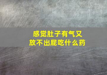 感觉肚子有气又放不出屁吃什么药