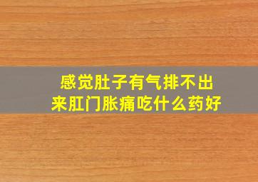 感觉肚子有气排不出来肛门胀痛吃什么药好