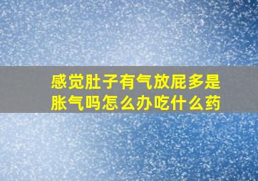 感觉肚子有气放屁多是胀气吗怎么办吃什么药