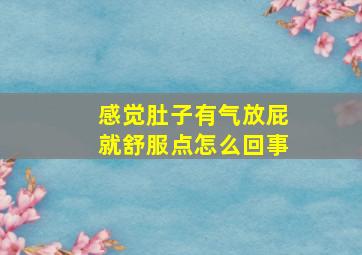 感觉肚子有气放屁就舒服点怎么回事