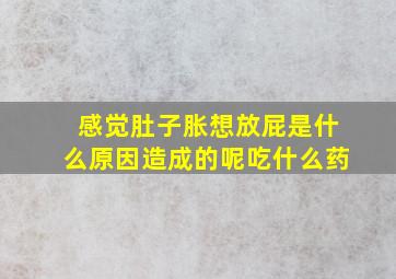 感觉肚子胀想放屁是什么原因造成的呢吃什么药