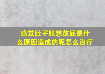 感觉肚子胀想放屁是什么原因造成的呢怎么治疗