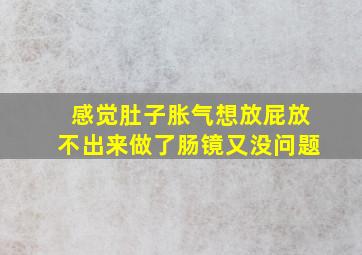 感觉肚子胀气想放屁放不出来做了肠镜又没问题