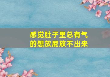 感觉肚子里总有气的想放屁放不出来