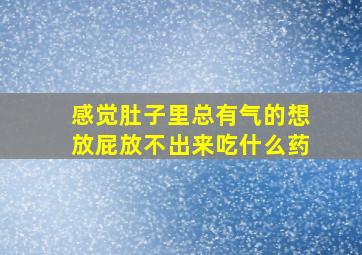 感觉肚子里总有气的想放屁放不出来吃什么药