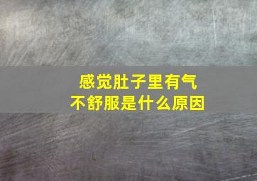 感觉肚子里有气不舒服是什么原因