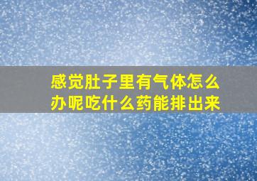 感觉肚子里有气体怎么办呢吃什么药能排出来