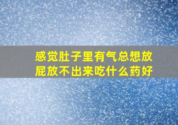 感觉肚子里有气总想放屁放不出来吃什么药好