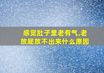 感觉肚子里老有气,老放屁放不出来什么原因