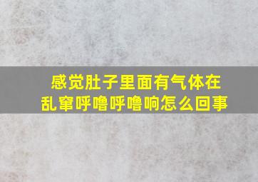 感觉肚子里面有气体在乱窜呼噜呼噜响怎么回事