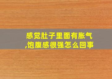 感觉肚子里面有胀气,饱腹感很强怎么回事