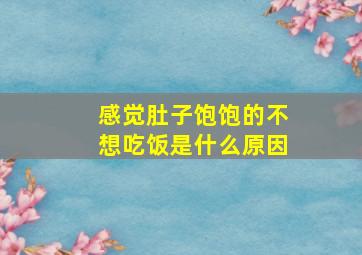 感觉肚子饱饱的不想吃饭是什么原因