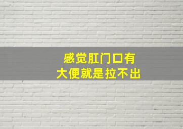 感觉肛门口有大便就是拉不出