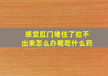 感觉肛门堵住了拉不出来怎么办呢吃什么药