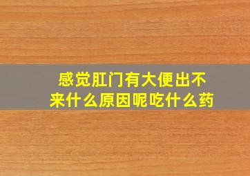 感觉肛门有大便出不来什么原因呢吃什么药