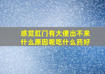 感觉肛门有大便出不来什么原因呢吃什么药好