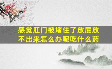 感觉肛门被堵住了放屁放不出来怎么办呢吃什么药