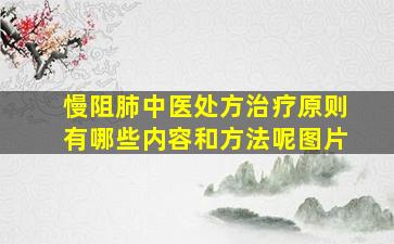 慢阻肺中医处方治疗原则有哪些内容和方法呢图片