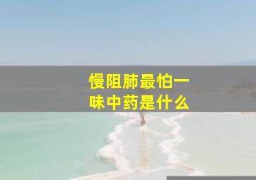 慢阻肺最怕一味中药是什么