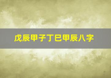 戊辰甲子丁巳甲辰八字