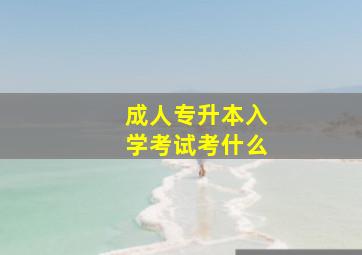 成人专升本入学考试考什么