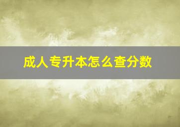 成人专升本怎么查分数