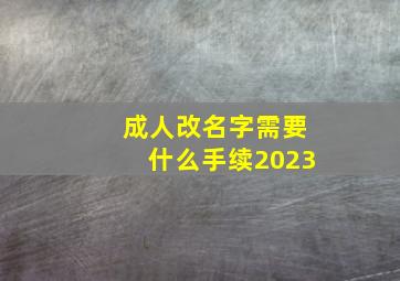 成人改名字需要什么手续2023