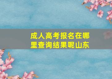 成人高考报名在哪里查询结果呢山东