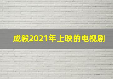 成毅2021年上映的电视剧