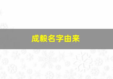 成毅名字由来