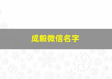 成毅微信名字