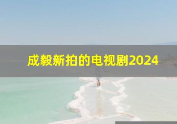 成毅新拍的电视剧2024