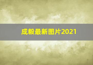 成毅最新图片2021