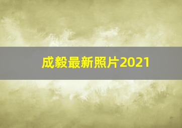 成毅最新照片2021