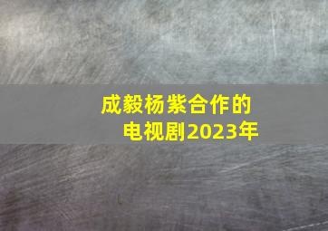 成毅杨紫合作的电视剧2023年