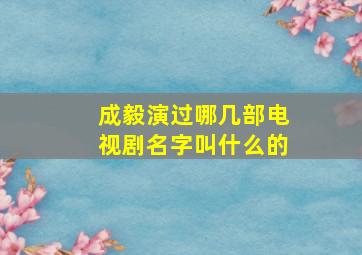 成毅演过哪几部电视剧名字叫什么的