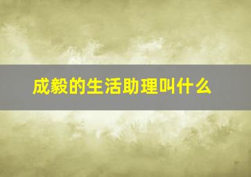 成毅的生活助理叫什么