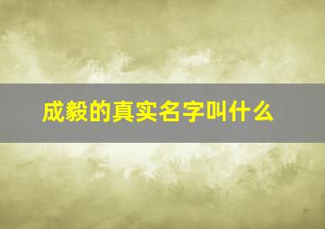 成毅的真实名字叫什么